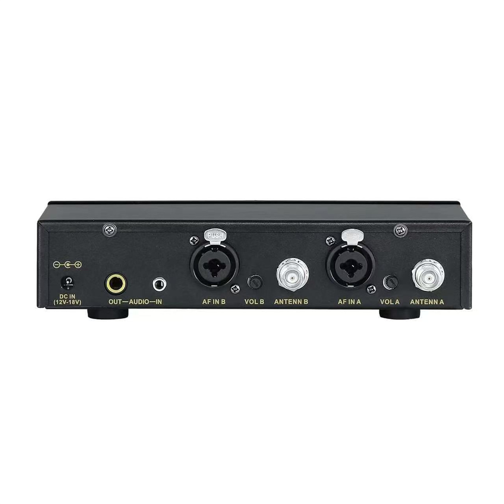 SKARIDIS Professional Wireless - огляд і ціна In Ear Monitors For Singers